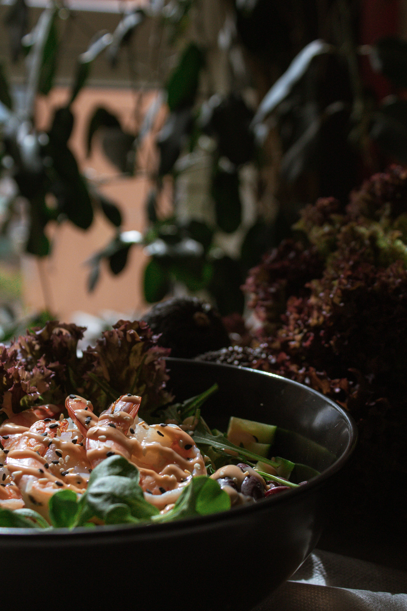Bún Bò Nam Bộ — vietnamský salát s grilovaným hovězím masem v restauraci U Petra Chrudim